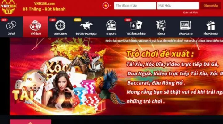 Hướng dẫn kiểm tra thông tin 11Bet