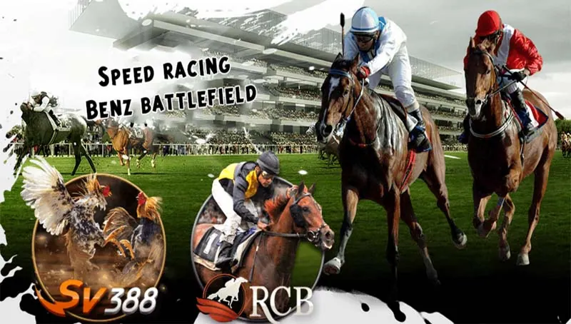 Hướng dẫn 11Bet - Đọc hướng dẫn theo tình huống tài khoản