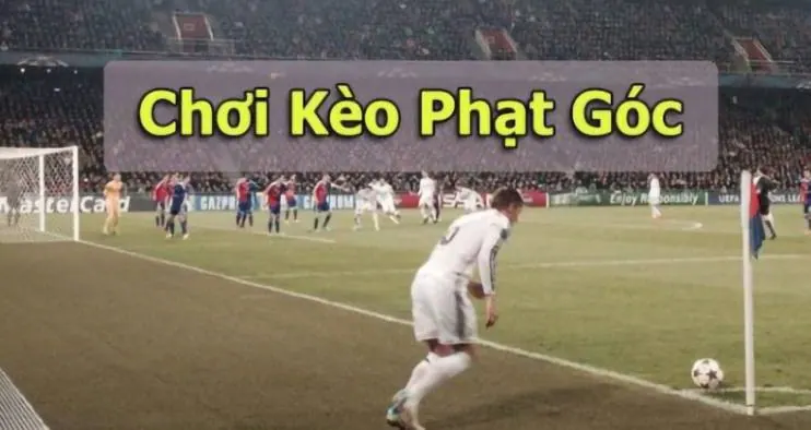 Hướng dẫn 11Bet - Bắt đầu từ thông tin bạn thực sự cần